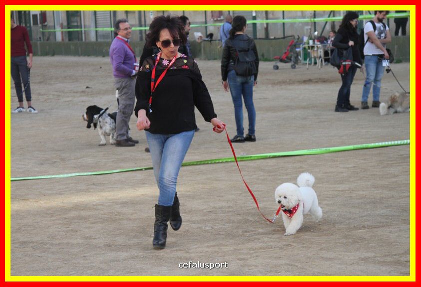 180311 mostra_canina 155.jpg